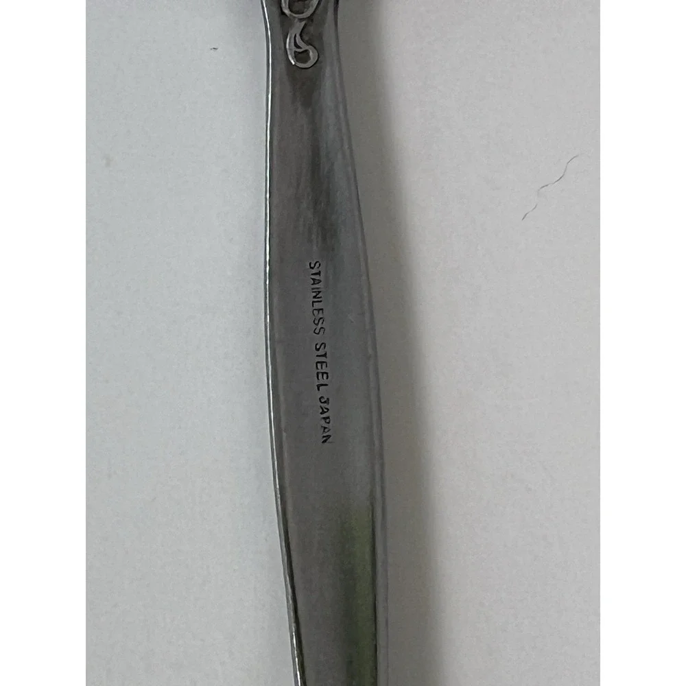 Oneida Stainless steel satin serving‎ spoon Vinland Flatware